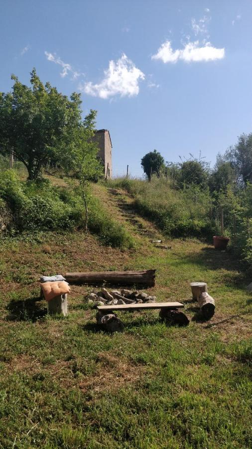 Podere Cerrete - Eco Farmhouse カステル・デル・ピアーノ エクステリア 写真